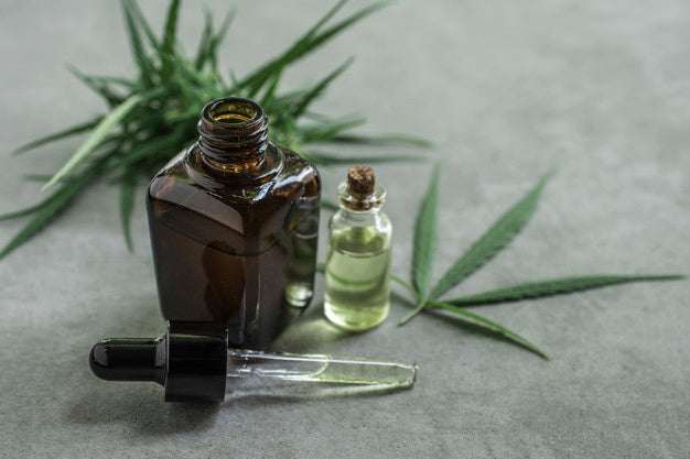 CBD and Endocannabinoid System